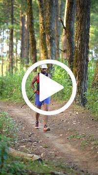 BIB:  <button type="button" onclick="openModal(27293167)" class="btn btn-primary btn-sm float-right" data-toggle="modal" data-target=".modal-high-quality">
                <i class="fa fa-download"></i> Download
                </button>